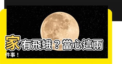 為什麼家裡有飛蛾|【家中飛蛾】家中的飛蛾危機：快速解決室內惱人小飛蛾